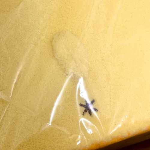 终于收到心心念念的布丁狗毛绒收纳箱啦！特别软特别萌！平台代拍很顺畅也很靠谱，包裹包装防护到位，竹蜻蜓物流运输也很快，布丁到手完好无损，安全下车～