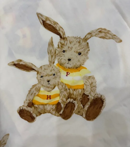 在日淘任意门软件淘到的的生成色双子兔衬衫～太可爱啦☺️蹲了很久的柄图，某一天打开日淘任意门一刷新就看到了，果断购入，咦?这就是缘分吧。
用了ems直邮7天内就到了，速度非常的快，拿到实物果然非常可爱，双子兔赛高?
日淘任意门非常方便好用继续淘?