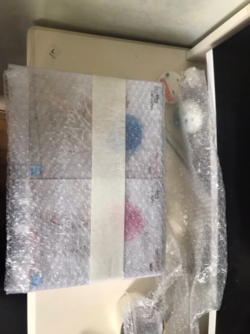 包装防护做得特别到位，厚厚的气泡膜层层包裹，盒子完好无挤压磕碰。拉姆蕾姆双子颜值超高，实物和图片没有色差，做工精致，细节表现很棒。物流全程信息透明，整体购物体验十分满意，喜欢从零系列的朋友可以放心入手！