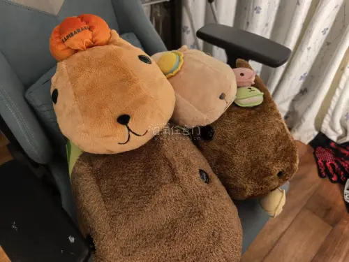 挖煤姬购入手的水豚君玩偶品相完好，包裹防护做得很用心。物流时效稳定，费用透明，海淘体验安心，以后买周边依旧选择这里。