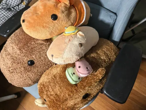 挖煤姬购入手的水豚君玩偶品相完好，包裹防护做得很用心。物流时效稳定，费用透明，海淘体验安心，以后买周边依旧选择这里。