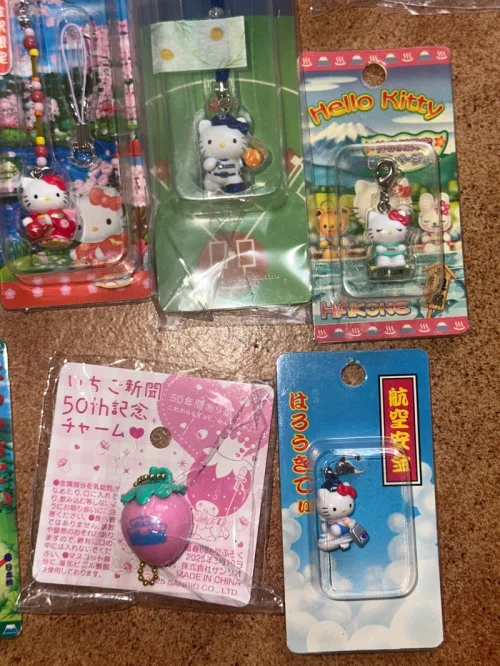 在挖煤姬蹲到超多心仪的Hello Kitty地域限定挂件！每一只品相都超出预期。走EMS物流体验很棒，运输稳定、包裹防护扎实，漂洋过海完好无损到手。平台界面操作简单，切物顺畅，淘中古三丽鸥宝藏平台，持续蹲更多可爱的小Kitty！