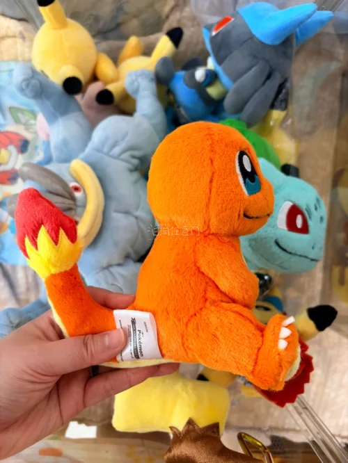 我买到了可爱的pokemon玩偶，选的air packet没多久就到了，比海运要快很多，速度还是非常可以的，运费会比海运高一点点但更快拿到。挖煤姬的打包很靠谱，包装是可以的，打包后的箱子大小不会很大。