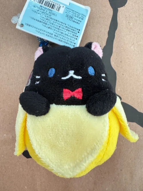 打开任意门刷到了一款黑色香蕉猫口金包，带标标和吊牌，下单后入库走的竹蜻蜓，到手后和卖家发的一样，非常的新，很有特色