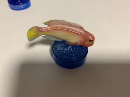 切煤速度很快，淘到了很古早的扭蛋，正是想要的，买古早小物品很方便。切过很多次了，都安全到货，什么时候再出包水线啊，不然拆单太麻烦了。