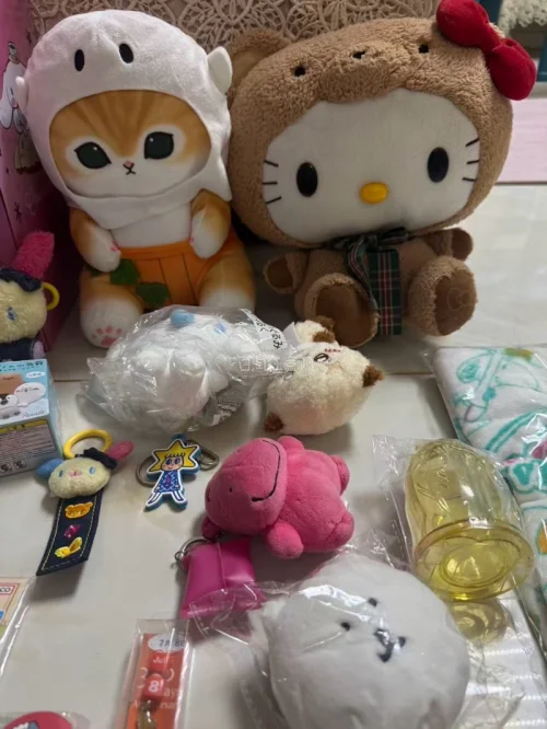 今天分享我的淘货经验。首先搜货尽量使用日文关键词,精准锁定目标款式。挑选卖家优先翻看过往评价，选择愿意主动拍摄细节、如实说明瑕疵的个人樱花妹，谨慎选择大批量倒卖的商家。下单前主动要求实拍，确认有无发黄、裂纹、掉漆等问题，避免收到货产生纠纷。对比过不少切煤渠道，我一直...