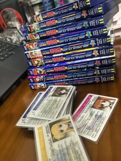 在煤炉平台购买的魔法少女なのはSs的DVD，没想到在今年还能以一个相当不错的价格淘到一套几乎全新未使用的初回限定DVD附带特典ID卡和特典小册！卖家商品描述和到手实物基本完全一致，而且发货速度很快，两天就成功入库。最后物流走的ems线，全程都很丝滑顺利！下次一定再用...