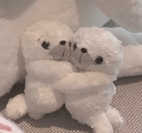 海豹,非常多的海豹