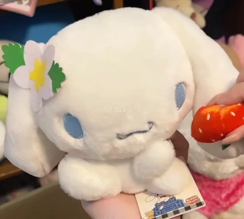 开箱开箱～