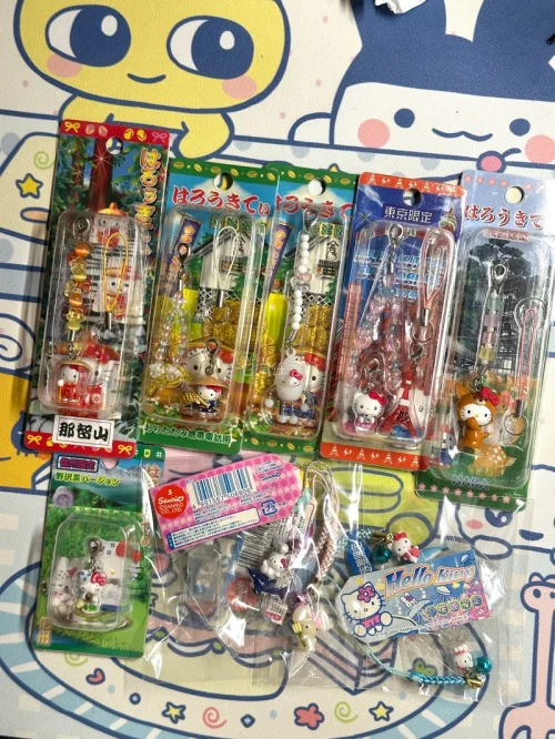 这次淘到心心念念的Hello Kitty中古地域限定挂件太开心啦！品相保存得很不错，包装防护做得很到位，商品完整到手没有磕碰～挖煤姬操作简单易懂，找中古小物件特别方便，EMS物流速度稳定，全程物流信息可以实时追踪。海淘三丽鸥古早周边选它很省心，古着爱好者可以放心冲，...