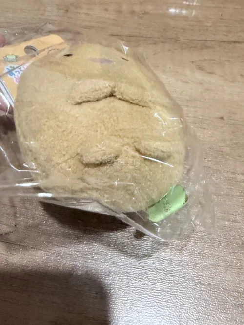 挖煤姬体验很棒，代拍流程简单，自带翻译上手轻松。仓库打包严实，合箱方便，物流动态更新及时。客服响应快，商品和描述一致，多次顺利下车，日淘切谷很靠谱，会继续使用。