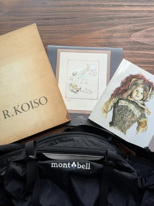 海淘三件商品顺利到货。montbell腰包做工扎实，尺寸合适。小磯良平画册印刷清晰，山本荣子日历版画色彩还原良好。整体与商品描述一致，包装完整，物流约一周左右，无破损。