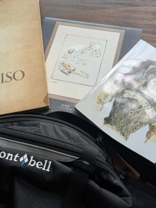 海淘三件商品顺利到货。montbell腰包做工扎实，尺寸合适。小磯良平画册印刷清晰，山本荣子日历版画色彩还原良好。整体与商品描述一致，包装完整，物流约一周左右，无破损。