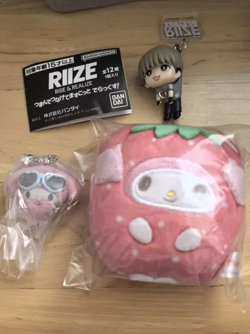 这次在挖煤姬淘到好多心头好物！可爱的三丽鸥小挂件、RIIZE万代扭蛋、假面骑士游戏卡、J家烧普，每一件品相都很不错