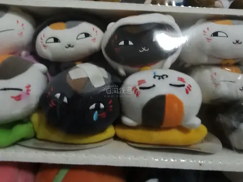 可爱猫咪老师