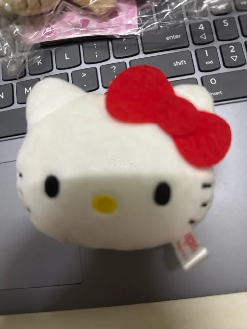 蹲到了超喜欢的kt和鼻孔鸡中古小周边，平台海淘下单很顺手。卖家实物和描述基本一致，物流清关顺畅，包裹保护得很好，东西完好到手，海淘体验感拉满✨