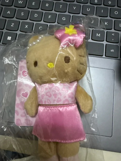 蹲到了超喜欢的kt和鼻孔鸡中古小周边，平台海淘下单很顺手。卖家实物和描述基本一致，物流清关顺畅，包裹保护得很好，东西完好到手，海淘体验感拉满✨