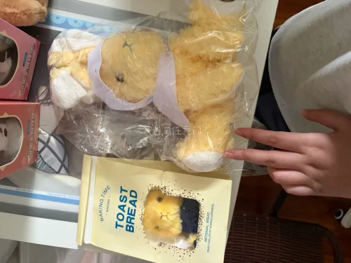 挖煤姬真的是我最喜欢的切煤app，ui界面清晰，发货迅速！超级喜欢啊！这次切的东西到货也是非常迅速，依旧是用的ems！东西状态都超级好！喜欢喜欢！依旧会继续支持挖煤姬的！