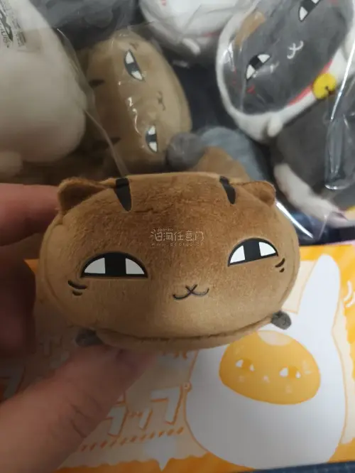 强推挖煤姬的预付款还价功能，卖家同意后会自动购买，不用蹲守改价，超级方便。买到了超喜欢的猫咪老师趴趴，软萌好rua。