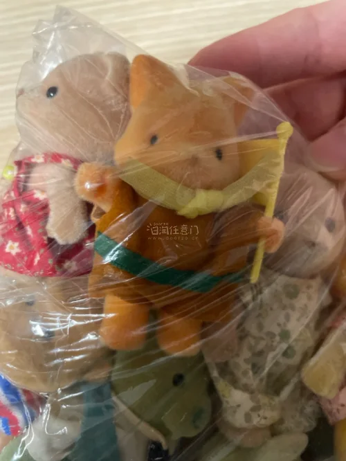这单只有10个公仔，所以很轻，运费也便宜，直接送到了驿站，回家就拿到了。枫叶镇物语这个IP名气比较低，但价格也并没有特别便宜，胜在能和森家混用，还挺可爱的。