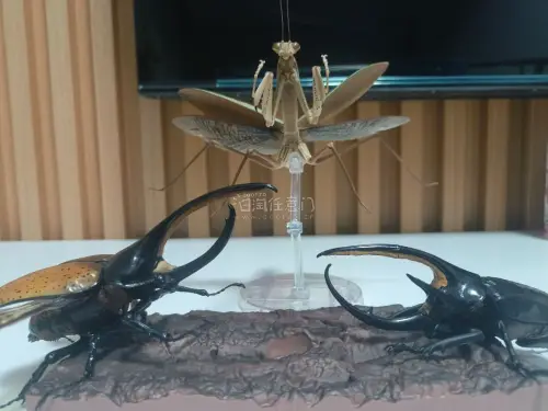 刚拿到快递的时候还是有点惴惴不安，外包装有很明显的凹陷痕迹。所幸打开后发现泡沫还是填充得很满的，内容物也基本没受影响，熬了两个星期终于可以美美把玩高桑和大刀了?
