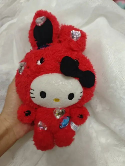这次入手了好几只三丽鸥中古毛绒挂件，库洛米、Hello Kitty都有，品相都很不错。挖煤姬整个下单、入库、合单转运流程顺畅，包裹打包防护到位，到手玩偶完好无损。查询物流也很方便，海淘中古玩具体验感很好，以后还会继续在这里挖煤。