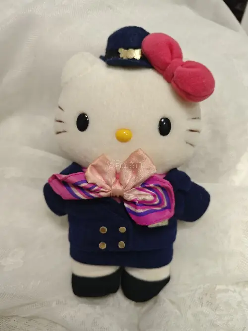 这次入手了好几只三丽鸥中古毛绒挂件，库洛米、Hello Kitty都有，品相都很不错。挖煤姬整个下单、入库、合单转运流程顺畅，包裹打包防护到位，到手玩偶完好无损。查询物流也很方便，海淘中古玩具体验感很好，以后还会继续在这里挖煤。