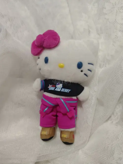 这次入手了好几只三丽鸥中古毛绒挂件，库洛米、Hello Kitty都有，品相都很不错。挖煤姬整个下单、入库、合单转运流程顺畅，包裹打包防护到位，到手玩偶完好无损。查询物流也很方便，海淘中古玩具体验感很好，以后还会继续在这里挖煤。