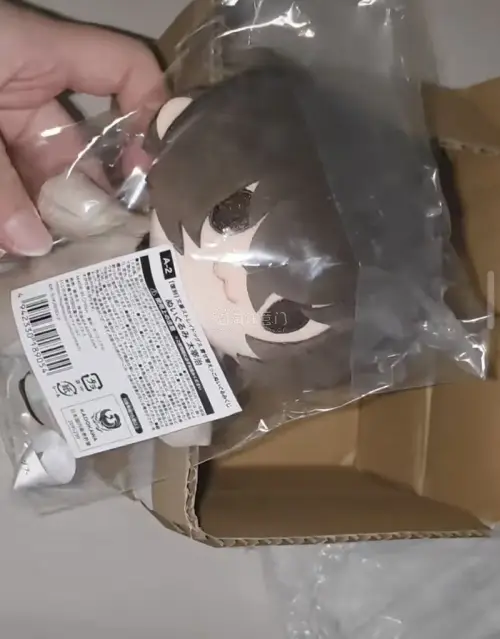 第一次打价格较大的拍卖，还好挖煤姬有分箱功能，平分后可以很安全回来除了运费不需要教其他额外的费用了，快递速度很快，整个纸箱很硬，会再次使用的