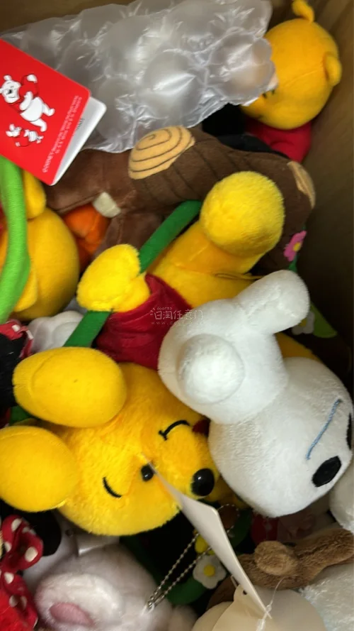 满意得很！这次买的是一些游戏周边 毛绒玩具～还有立牌 心心念念好久终于拿下啦(和实物一样 特别萌 樱花妹还自己画了一张小卡片给我 走的是竹蜻蜓路线 大概10几天就到了特别迅速 包裹得很严实 开心开心 没有破损什么的 推荐这个app