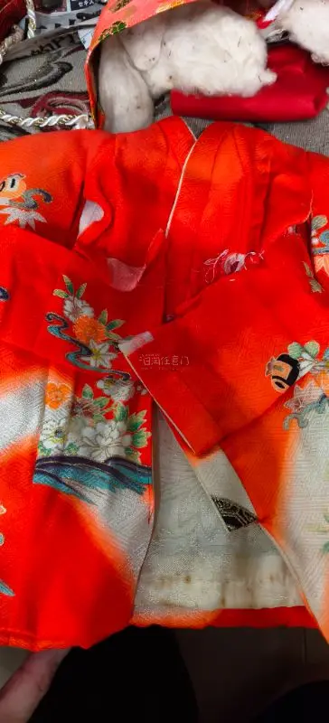 这次在挖煤姬淘到的手工娃娃衣服真的超出预期！和风纹样做工细腻，走线工整无线头，面料柔软不伤娃娃漆面，版型贴合人偶素体，上身氛围感直接拉满，成色干净保存得特别好。
平台全中文界面搭配智能翻译，找款搜关键词很方便，新手也能轻松操作。代拍响应及时，超长免费仓储可以慢慢凑单...