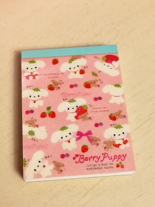 开箱任意门!BerryPuppy便签们!