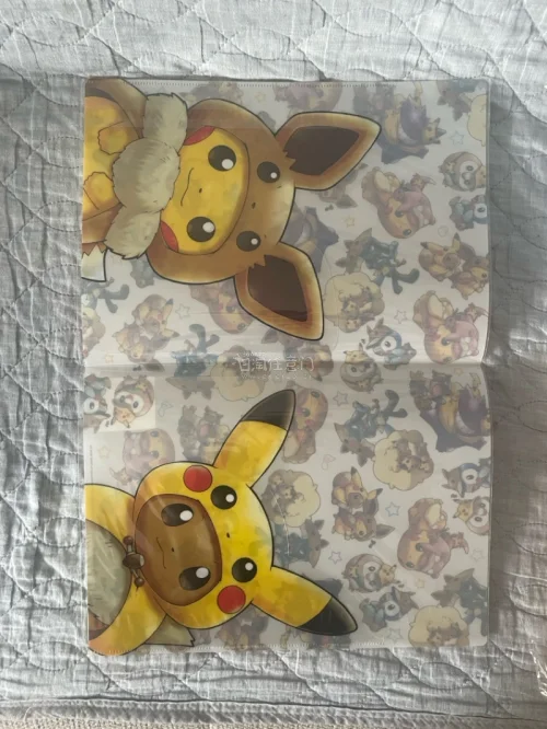 又到了一箱包裹，本次还是ems，配合积分低扣太香了！买了一些宝可梦周边，pokemon doll stamp，邮票风格的一个文件夹收纳盒，本来以为是有单独存放的，结果没有。还有两张文件夹，最后是两张贴纸。下个月继续！