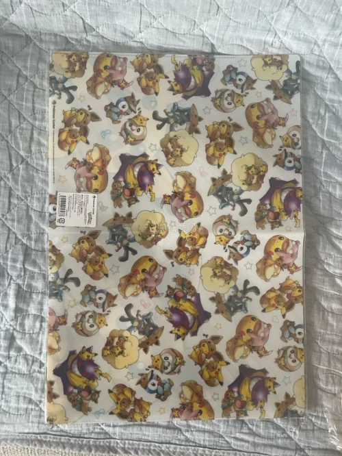 又到了一箱包裹，本次还是ems，配合积分低扣太香了！买了一些宝可梦周边，pokemon doll stamp，邮票风格的一个文件夹收纳盒，本来以为是有单独存放的，结果没有。还有两张文件夹，最后是两张贴纸。下个月继续！