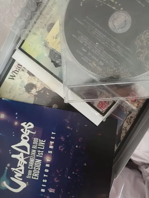 这次在挖煤姬切到中古蓝光碟太惊喜~包装保存得很不错，碟片盘面干净无划痕，内页印刷质感在线。从下单到入库再到手整体时效稳定，打包防护做得到位，没有磕碰压伤。海淘收日版碟很省心，能收到品相这么好的中古碟，整体购物体验很满意，收碟人可以放心冲。