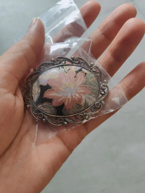 第一单海淘，特别完美，物流很迅速，显示10-20天，10天就到了，而且这个平台真的特别方便，对新手真的特别友好啊，直接买买买，完全不用动脑，收到了好看的项链和胸针，真的特别貌美，夸夸小姬，给我们提供了一个如此完美的平台！