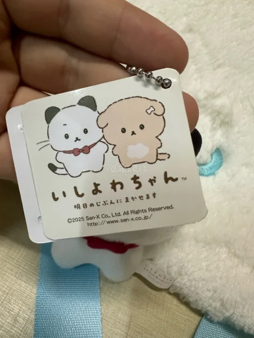 终于收到mercari海淘包裹！入手的三丽鸥周边品相很好，吊牌齐全，成色接近中古美品。卖家包装很仔细，气泡膜防护到位，拆箱仪式感满满，还附赠可爱手写小纸条。物流速度很惊喜，到手没有磕碰损伤。摆放在桌面氛围感直接拉满，整体购物体验很棒！