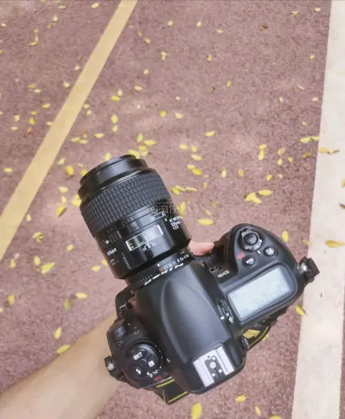 任意门镜头到了