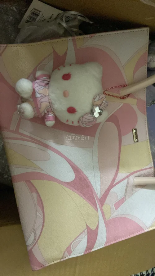 实物品相和描述一致，玩偶毛绒柔软，包包做工完好。仓库打包很用心，气泡膜包裹到位，长途运输没有压损。物流轨迹实时可查，收费透明无隐形消费，操作简单，淘日淘周边很省心，会继续回购。