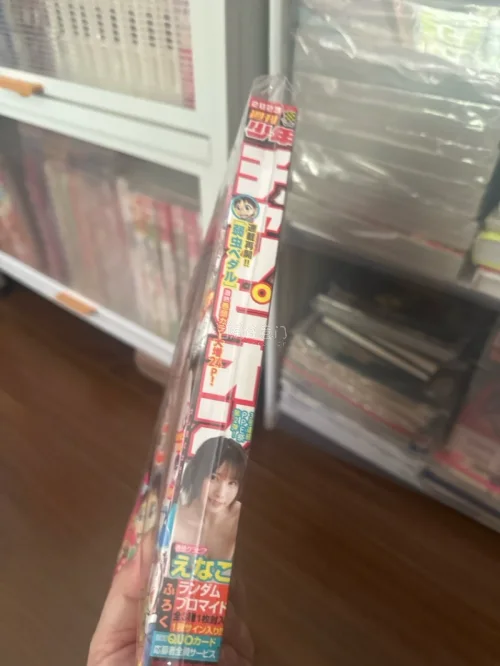 这次入手的三套日版漫画品相很不错，《北斗神拳》文库版、《猫眼三姐妹》单行本还有入间同学的周边杂志，书页干净无明显黄斑。打包很扎实，卖家细心检查了书脊，就是日淘等待时间偏久。这批漫画内容合规，只要合理分箱申报，正常可以顺利过海关，收藏价值很高，一次很满意的海淘淘书之旅...