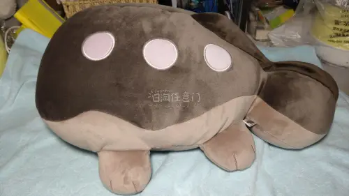 任意门日淘体验很棒，中文界面上手简单，打包防护细心，谷子完好无磕碰。物流轨迹实时更新，收费透明，客服响应及时，淘中古周边很安心，会继续回购。