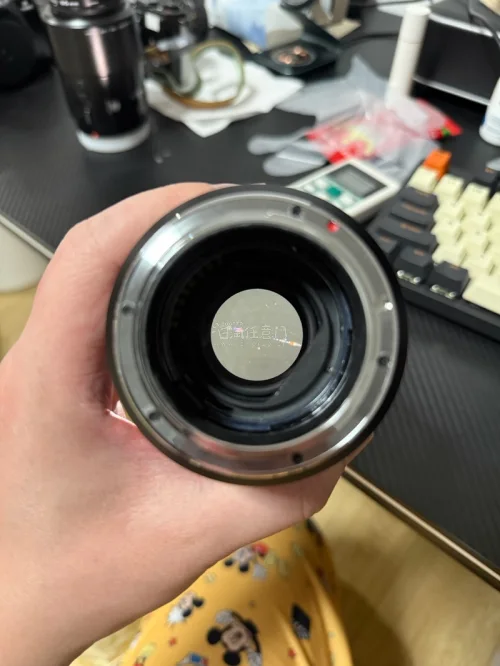 minolta af 100mm f2.8，据说这是当年被西平英生评为光学画质满分的8只定焦镜头之一。能微距能人像，“五百块打三千的仗”虽然微距的对焦行程比较长，但是打开对焦限位开关后，依旧可以当作一颗人像镜来使用，100mm拥有2.8的光圈虚化还是非常可观的