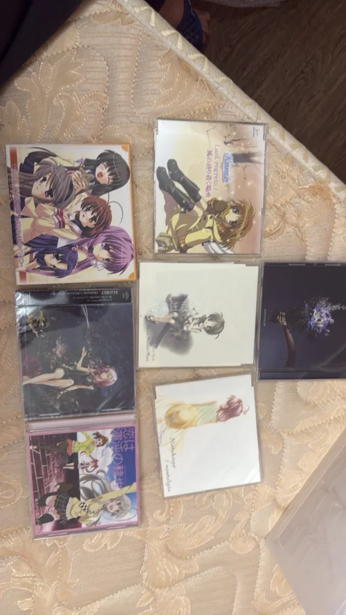长期收藏日系中古动漫CD，这次在挖煤姬下单十分顺利。选品资源丰富，很多市面上难找的老动画单曲与原声都可以淘到。客服咨询品相响应及时，打包防护充足，气泡缓冲到位，漂洋过海收到碟片与封套都完好。物流全程可以查看进度，整体购物安心靠谱，是收藏日碟很好的渠道，后续会持续回购...