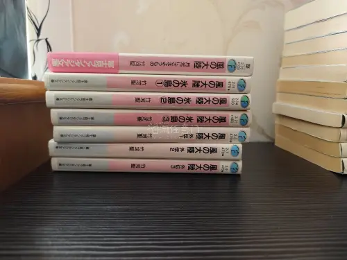 没想到在2026年还能买到早已绝版的古早日文原版小说全套 ！而且价格真的不贵 ！幸亏看到了果断拿下。刷到的友子们也赶紧来看看，风之大陆这么好的一部作品在国内的知名度实在是太低了(哭)。强烈给大家安利 Ⅰ插画是猪股睦美老师的，OVA制作也十分之精良，结城信辉老师亲自监...