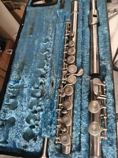 挖煤姬平台下单体验很棒，操作简单，物流包裹防护扎实。这支长笛收到成色超出预期，金属管身没有严重磕碰，按键结构完整，原装老盒保存完好。卖家如实描述物品状态，没有隐瞒瑕疵。清关顺畅，到货速度稳定，乐器类海淘选挖煤姬很放心，后续淘乐器还会继续用这个平台，推荐！
