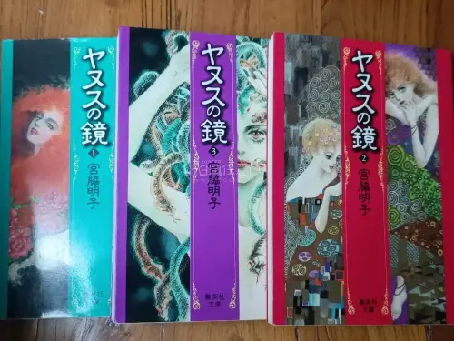 在挖煤姬买了好几次书了，好多作者书籍在国内不太多，这里淘到不少，古早漫画作者还得是到这里来看！拍下发货都很快，书太重了选的海运慢一些，但是包装还是让人安心的。即使买了多本也没有出过缺少，给力