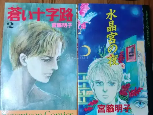 在挖煤姬买了好几次书了，好多作者书籍在国内不太多，这里淘到不少，古早漫画作者还得是到这里来看！拍下发货都很快，书太重了选的海运慢一些，但是包装还是让人安心的。即使买了多本也没有出过缺少，给力