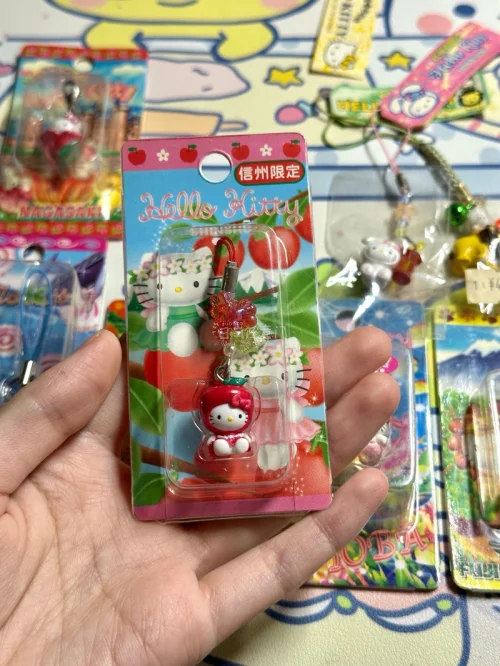 又一次在挖煤姬成功淘到心心念念的Hello Kitty地域限定中古挂件！信州苹果、富士 safari、鸟羽水族馆多款都集齐啦，每一只包装保存得都很完好，品相超出预期。平台操作简单，下单和入库流程清晰，物流包装扎实，中古周边海淘选这里很安心，能挖到很多国内少见的限定款...