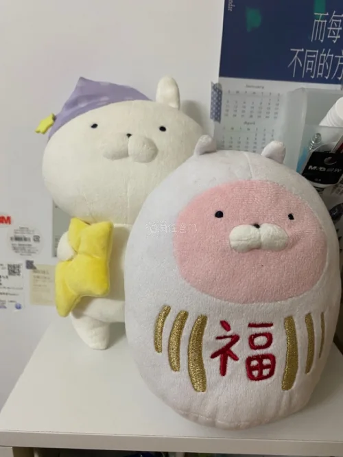 这次在挖煤姬选择购买的是日本ip兔丸，非常美味的两只兔子。挖煤姬是一个很好的代切平台，每个星期还会送手续费免单券，物流也快。非常好用呀。切到这么好价的兔丸真的太开心了?