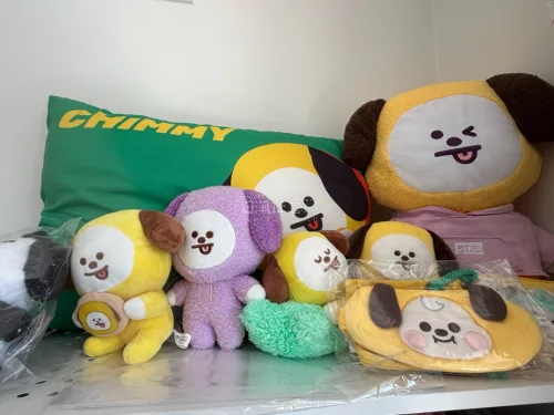 挖煤姬成功下车✨
一边是古早BTS日巡DVD合集，Wings、LY、Wake Up还有早期FM，把旧舞台回忆全部收回来；
另一边是一整套软乎乎的Chimmy大军，大大小小chimmy玩偶、抱枕、小包齐聚，小黄狗集体报到?
煤炉淘中古真的很惊喜，仓库入库检查仔细，打包...